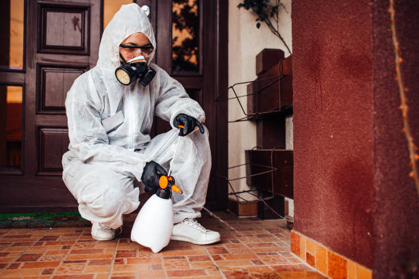 Attic and Crawl Space Rodent Treatment in Sea Breeze