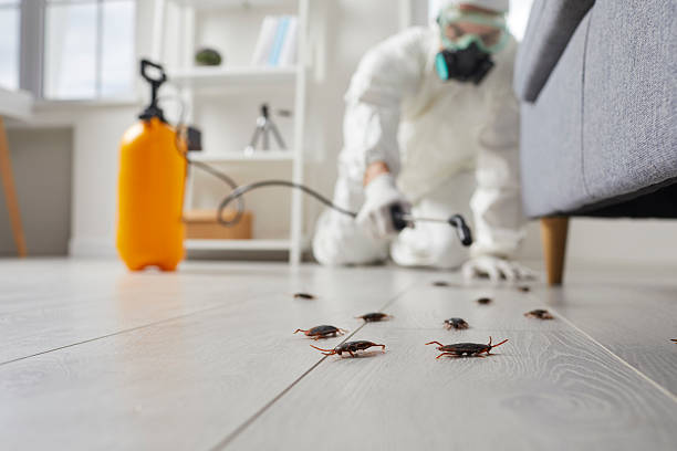 Commercial Rodent Management in Sea Breeze
